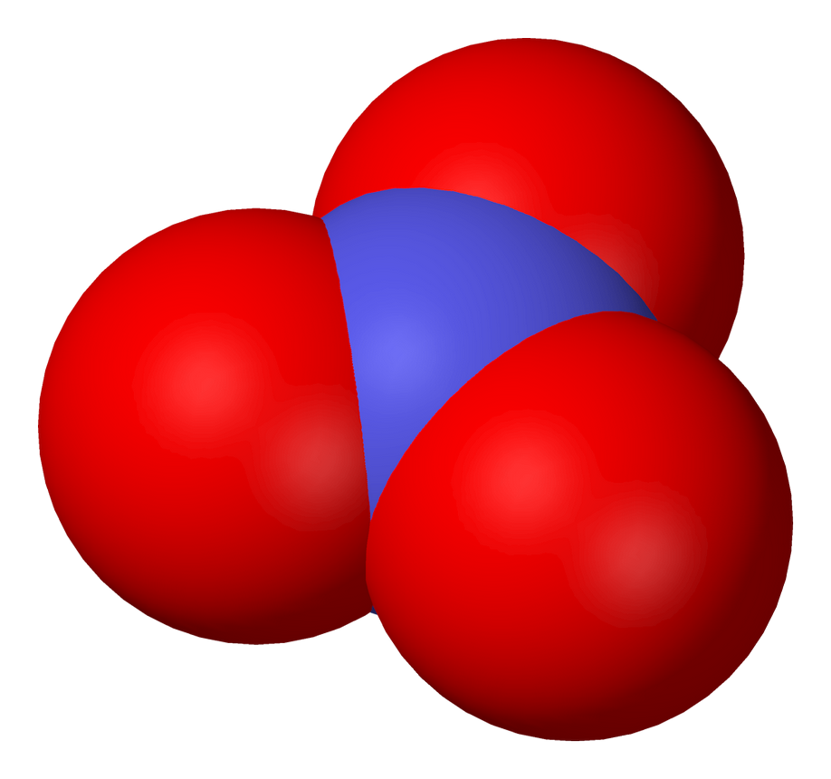 Nitrate molocule